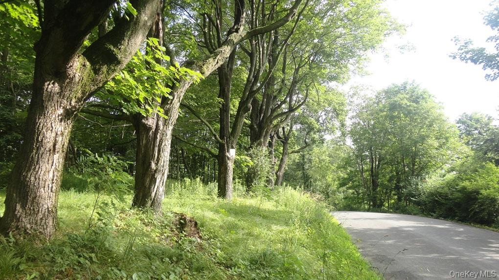 Henry Road, Cragsmoor, NY 12420