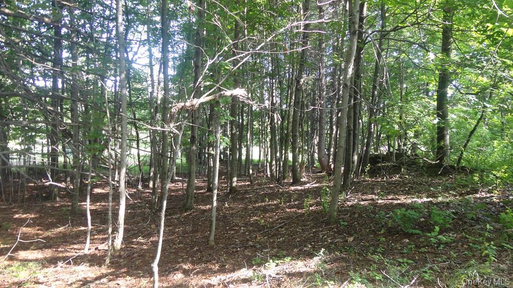 Henry Road, Cragsmoor, NY 12420