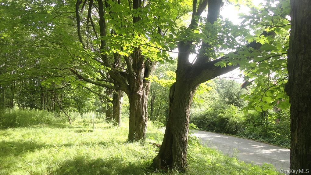 Henry Road, Cragsmoor, NY 12420