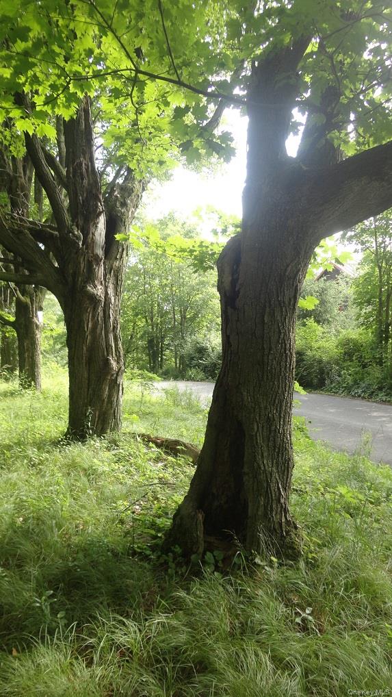 Henry Road, Cragsmoor, NY 12420