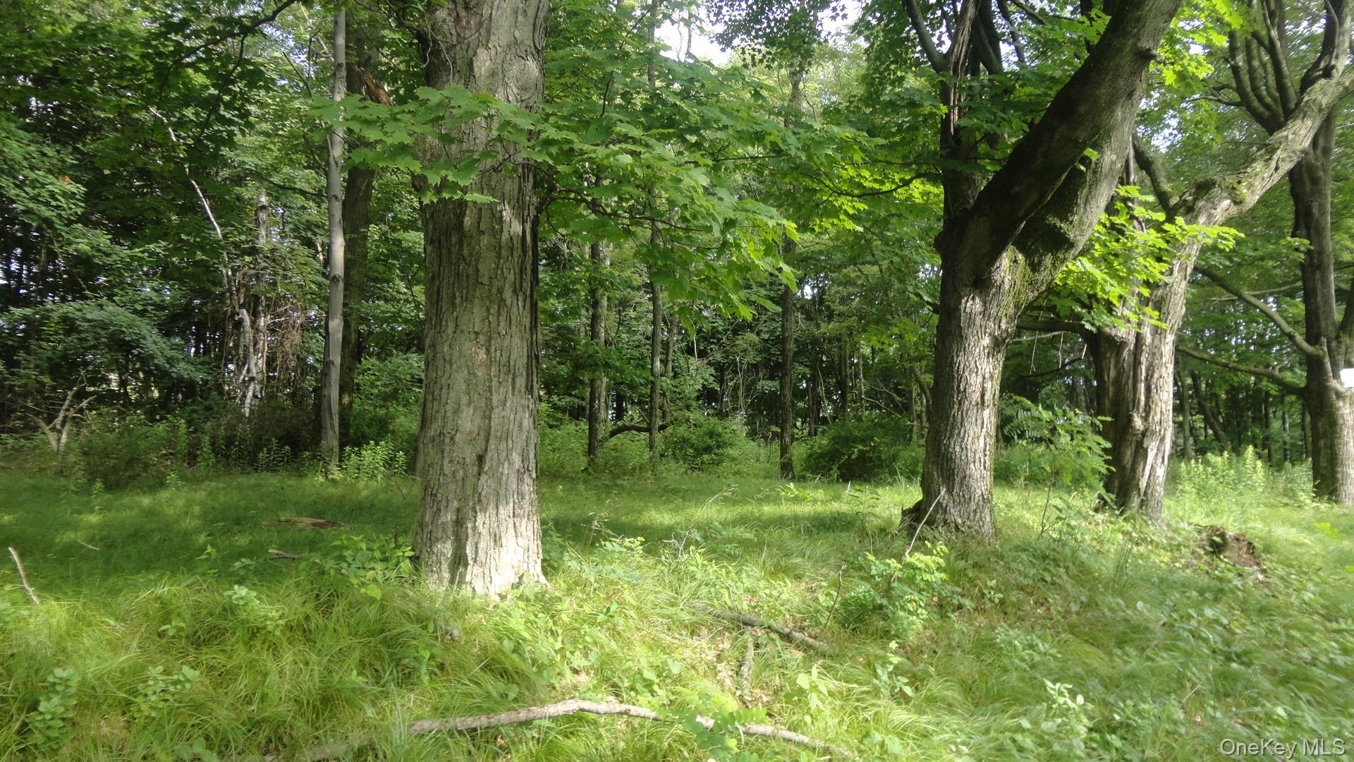 Henry Road, Cragsmoor, NY 12420