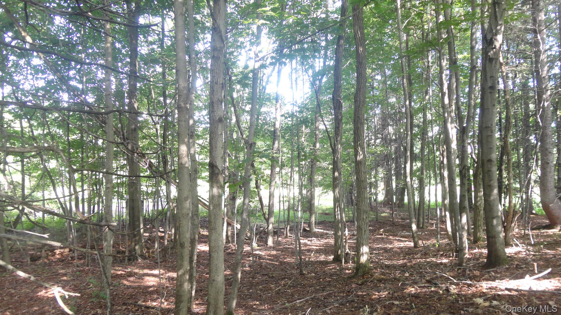 Henry Road, Cragsmoor, NY 12420