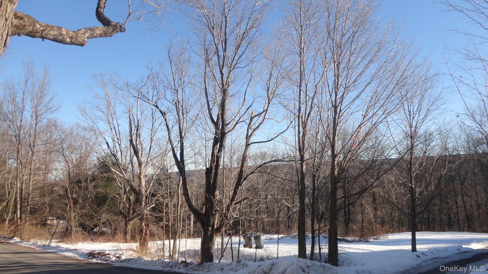 Henry Road, Cragsmoor, NY 12420