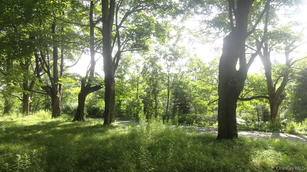 Henry Road, Cragsmoor, NY 12420