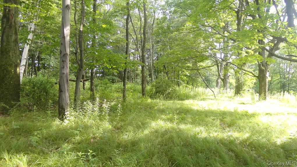 Henry Road, Cragsmoor, NY 12420