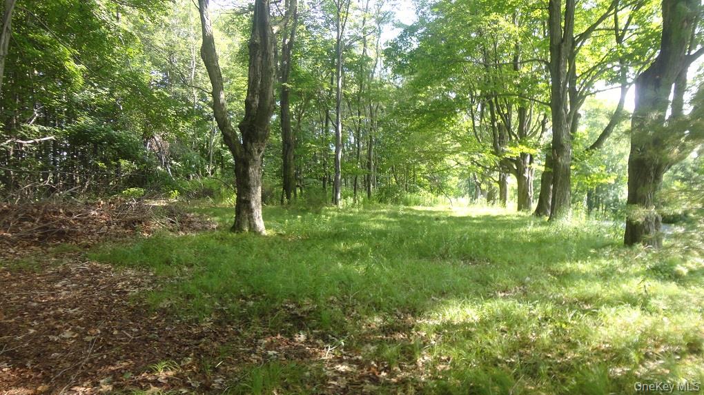 Henry Road, Cragsmoor, NY 12420