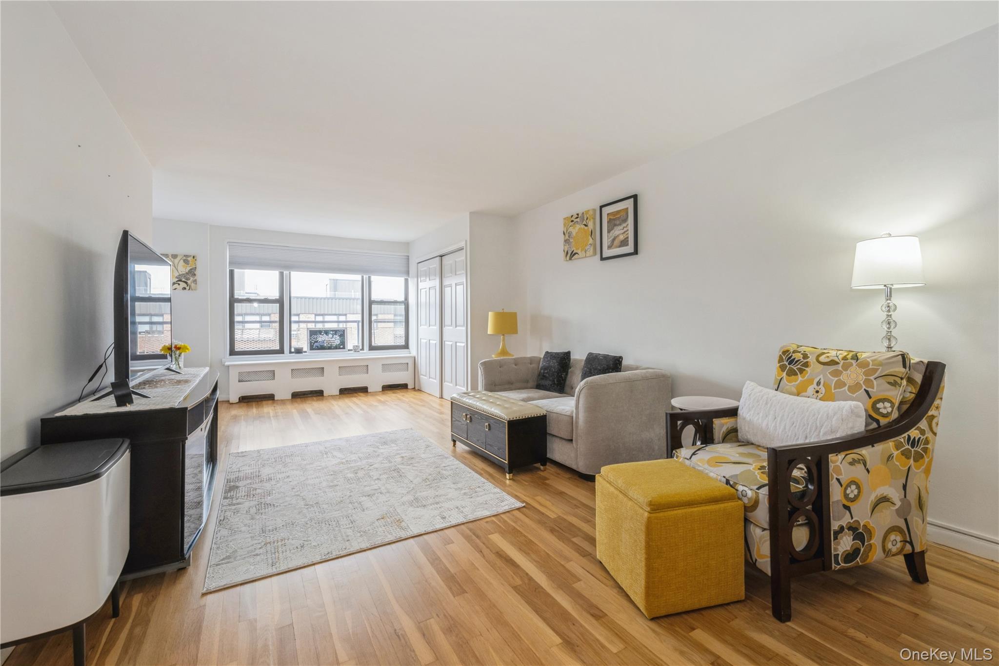 4 Birchwood Court # 5A, Mineola, NY 11501