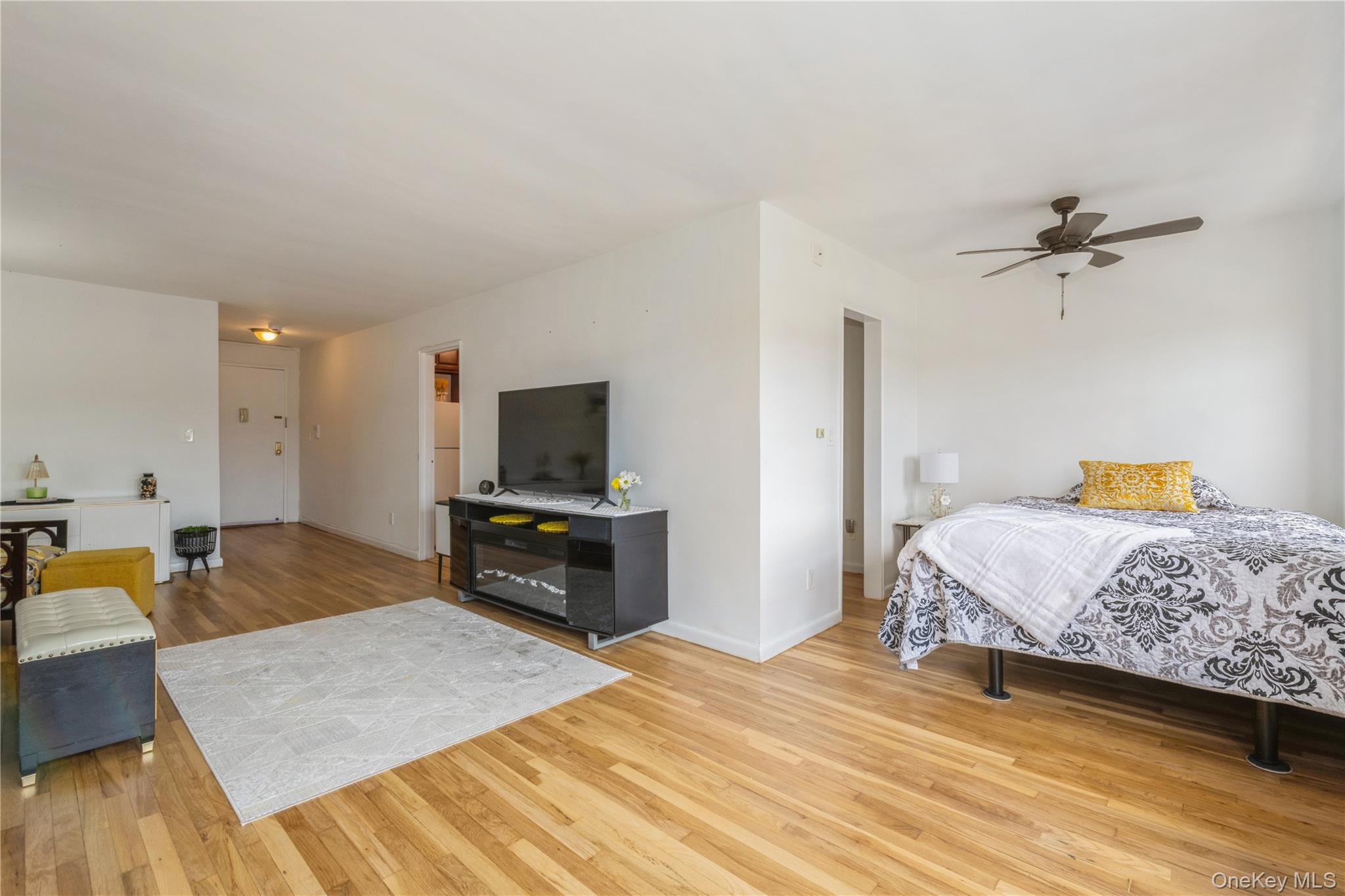 4 Birchwood Court # 5A, Mineola, NY 11501