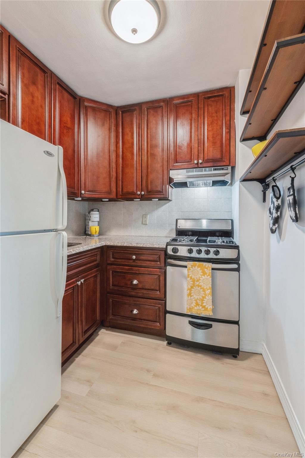 4 Birchwood Court # 5A, Mineola, NY 11501