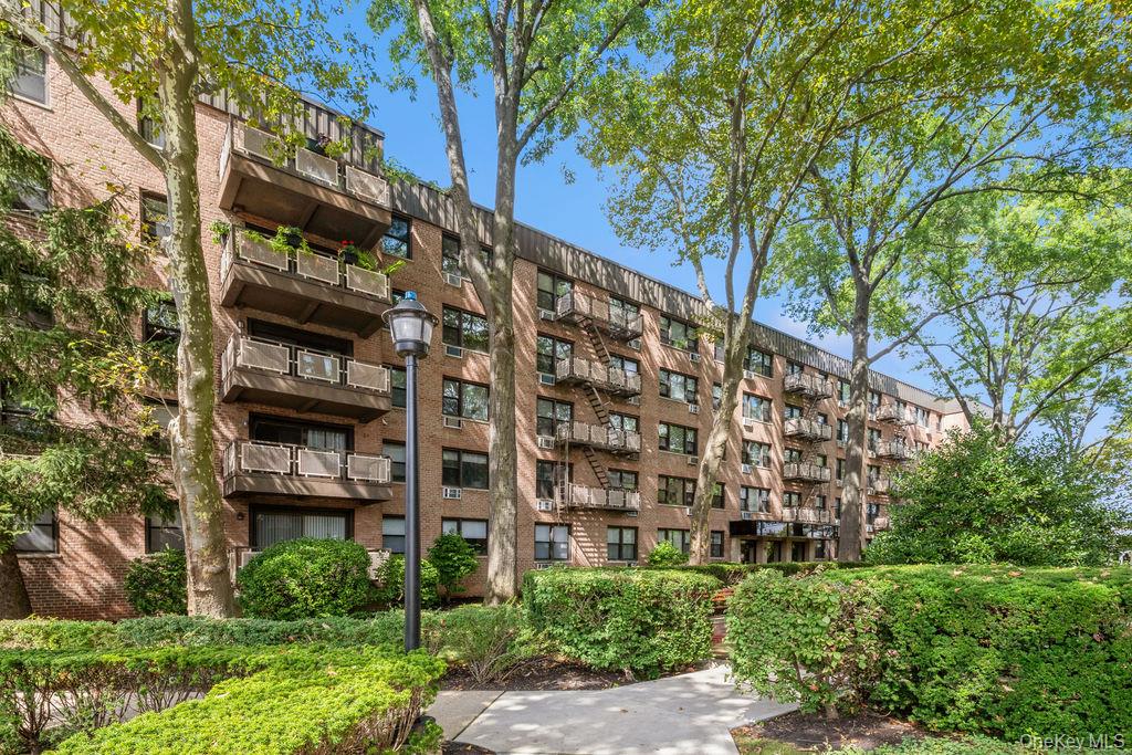 4 Birchwood Court # 5A, Mineola, NY 11501