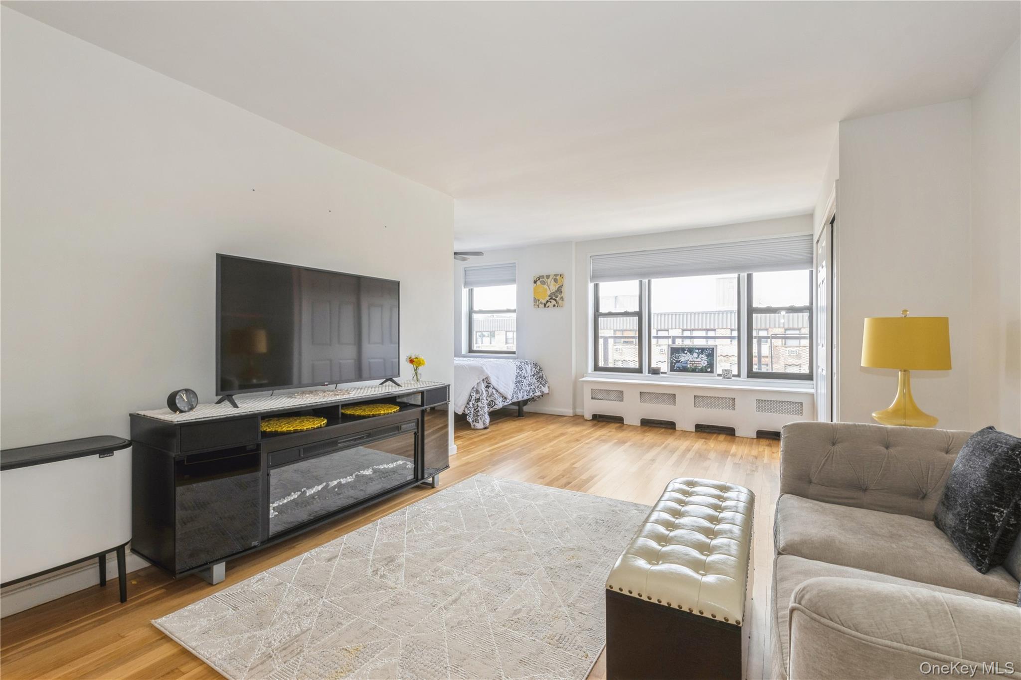 4 Birchwood Court # 5A, Mineola, NY 11501