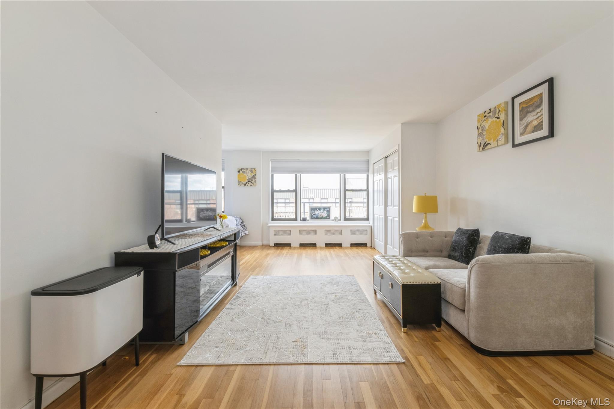 4 Birchwood Court # 5A, Mineola, NY 11501