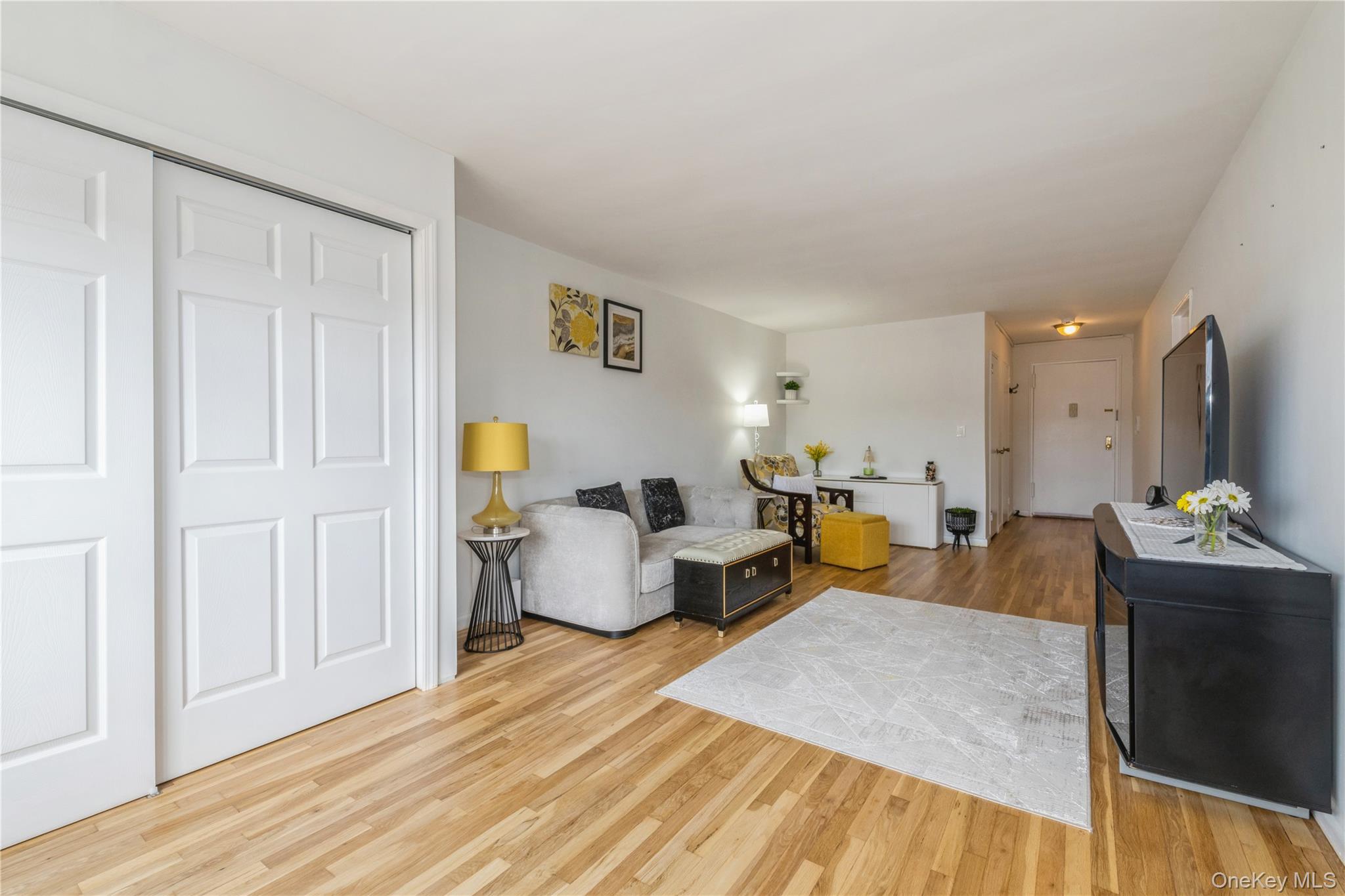 4 Birchwood Court # 5A, Mineola, NY 11501