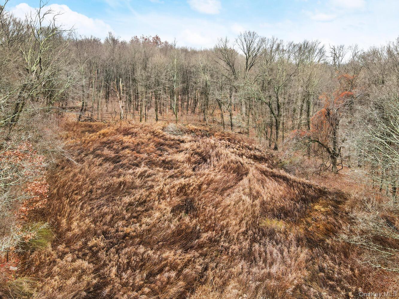 Cottage Place, Granite Springs, NY 10527