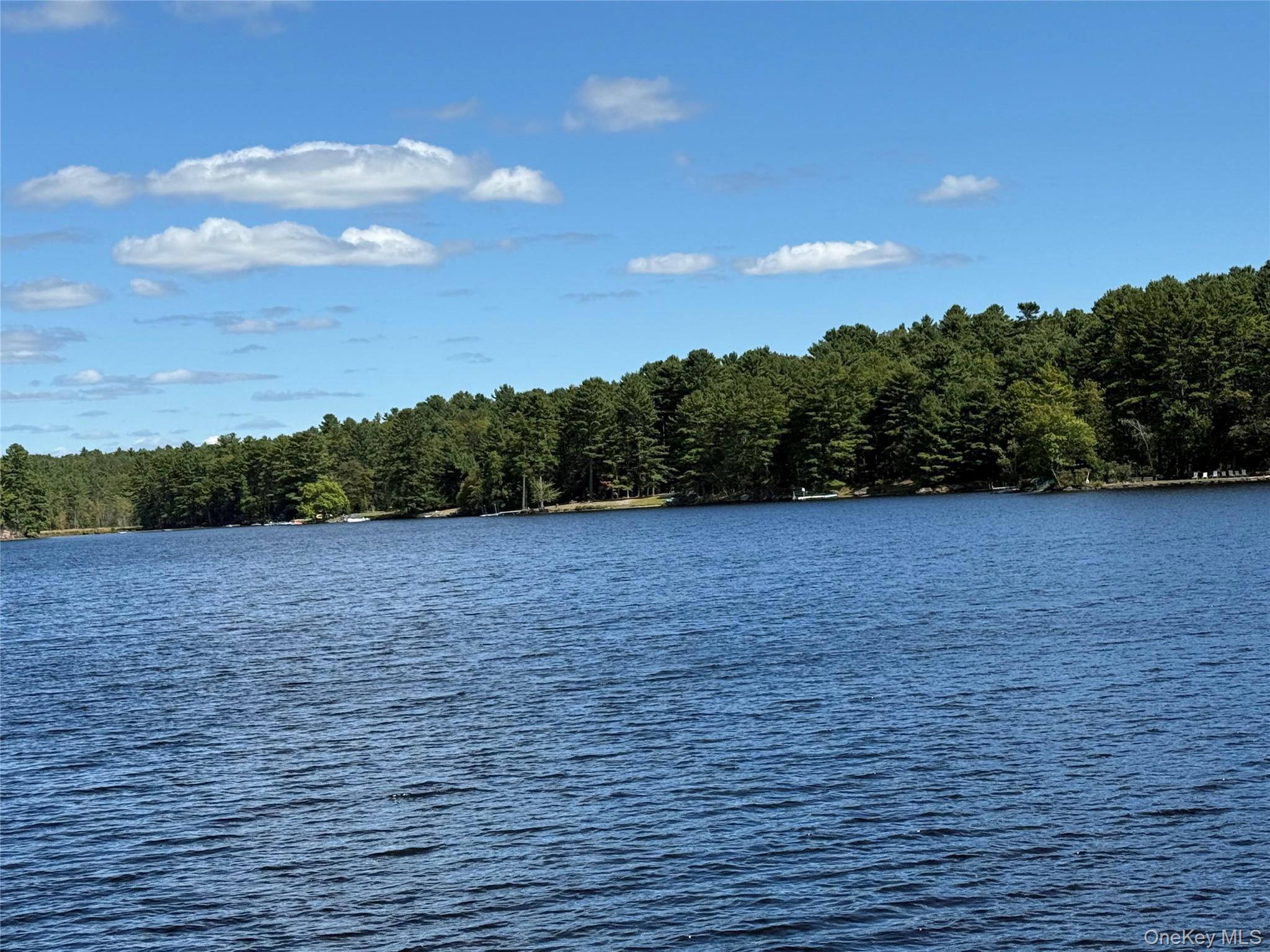 35 Oneida Trail, Glen Spey, NY 12737