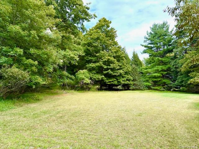 19 Andrew Paye Road, Pond Eddy, NY 12770