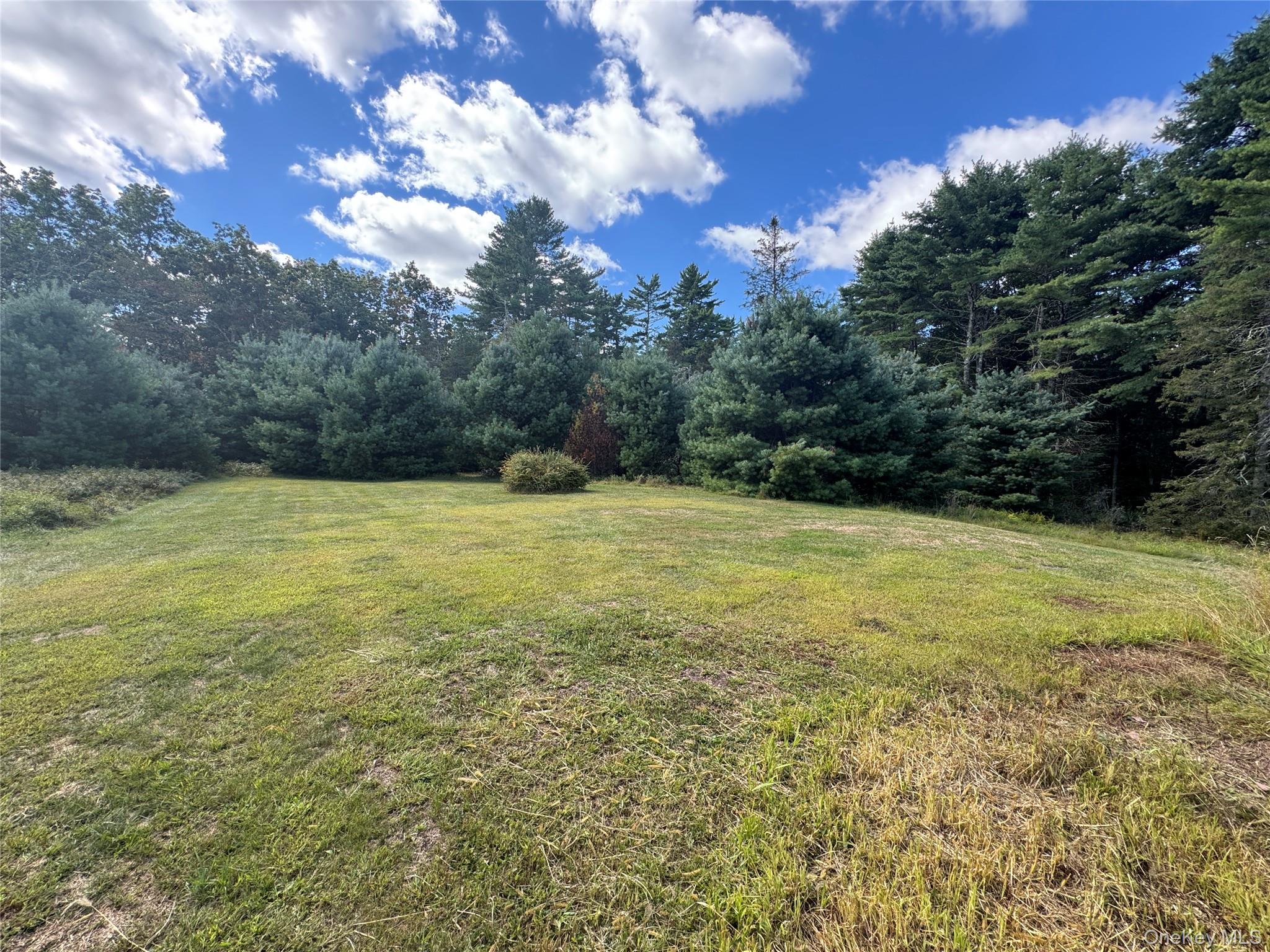 863 State Route 55, Eldred, NY 12732