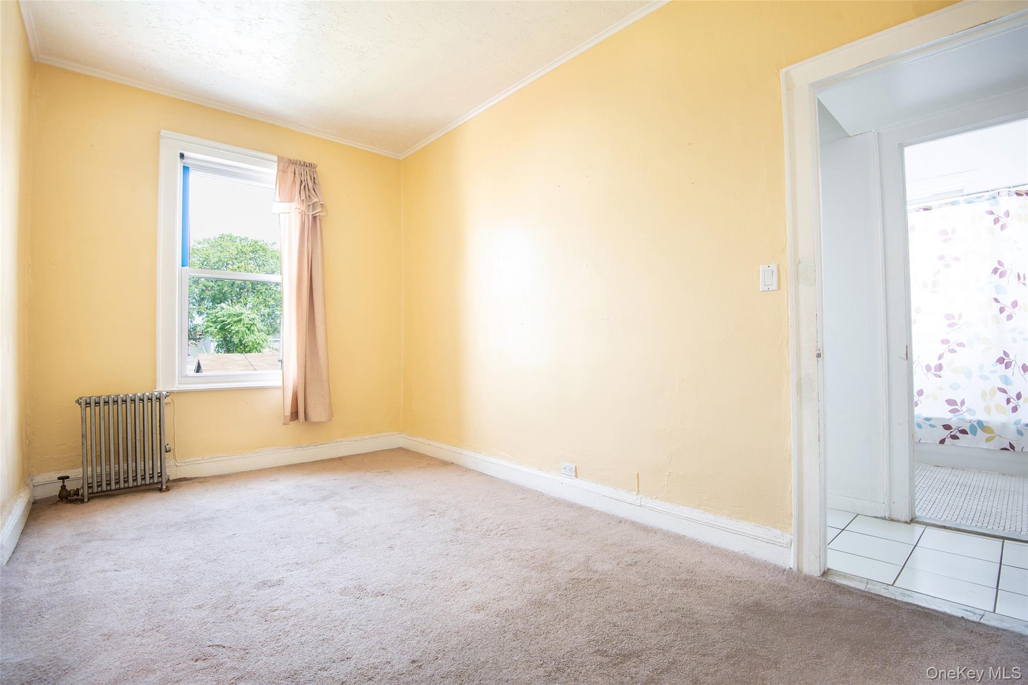 710 Revere Avenue, Bronx, NY 10465