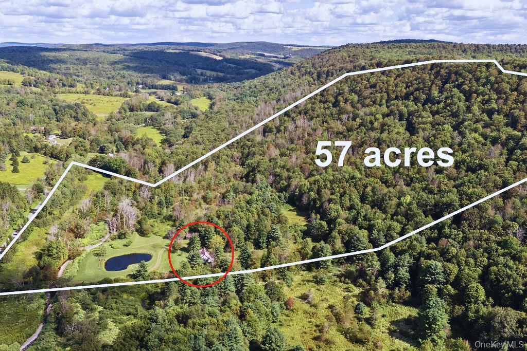 2260 East Handsome Brook Road, Franklin, NY 13775