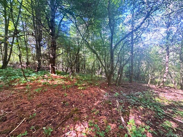 2260 East Handsome Brook Road, Franklin, NY 13775