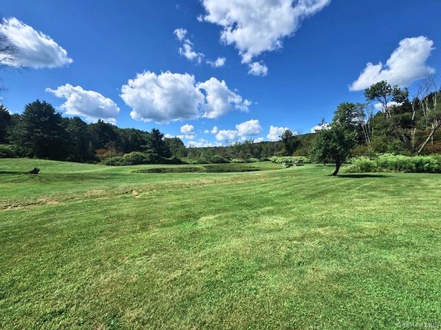 2260 East Handsome Brook Road, Franklin, NY 13775