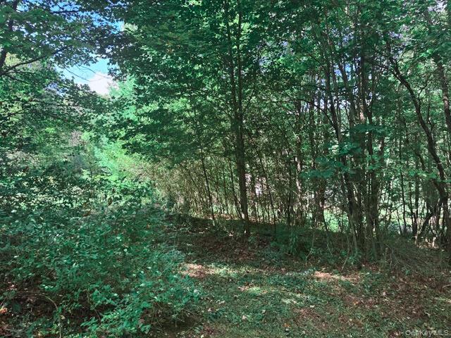 2260 East Handsome Brook Road, Franklin, NY 13775