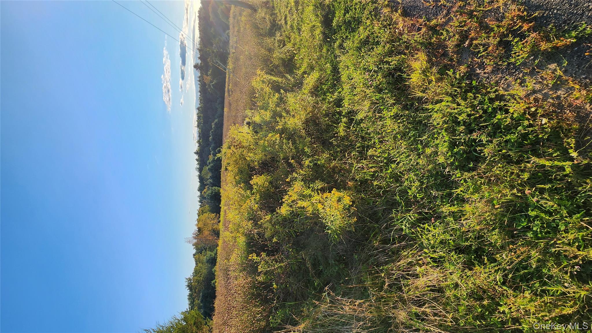 647 Irish Cape Road, Ellenville, NY 12428