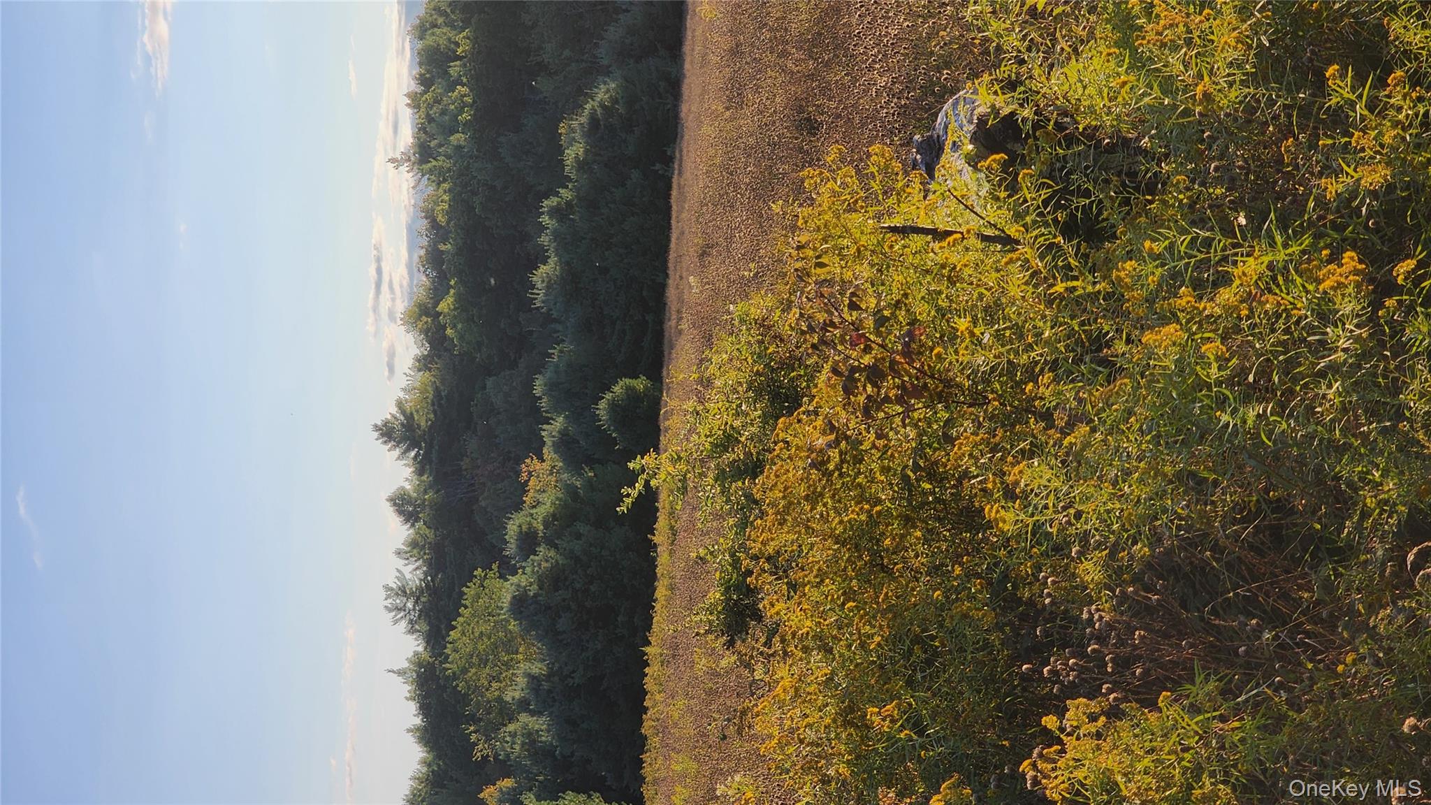 647 Irish Cape Road, Ellenville, NY 12428