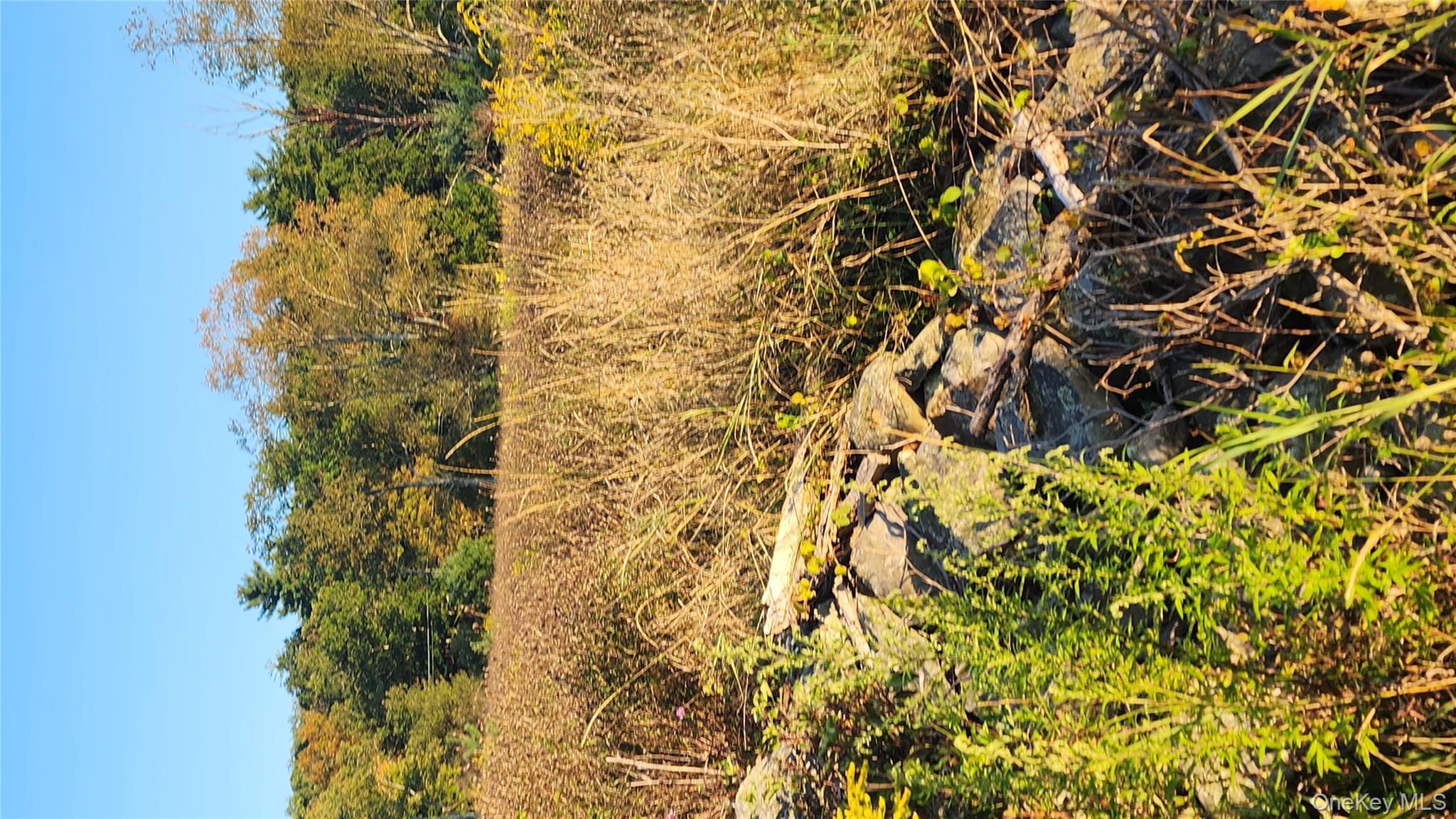 647 Irish Cape Road, Ellenville, NY 12428