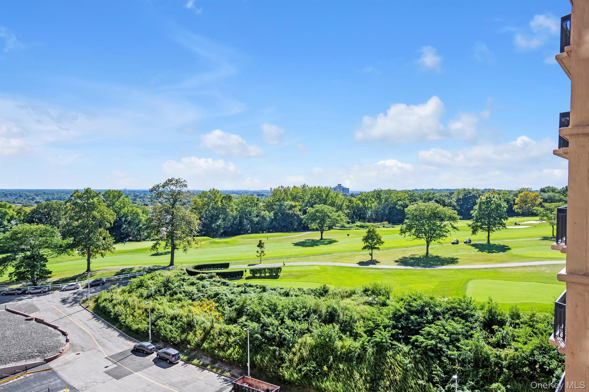 169-10 Grand Central Parkway # 8Y, Floral Park, NY 11005