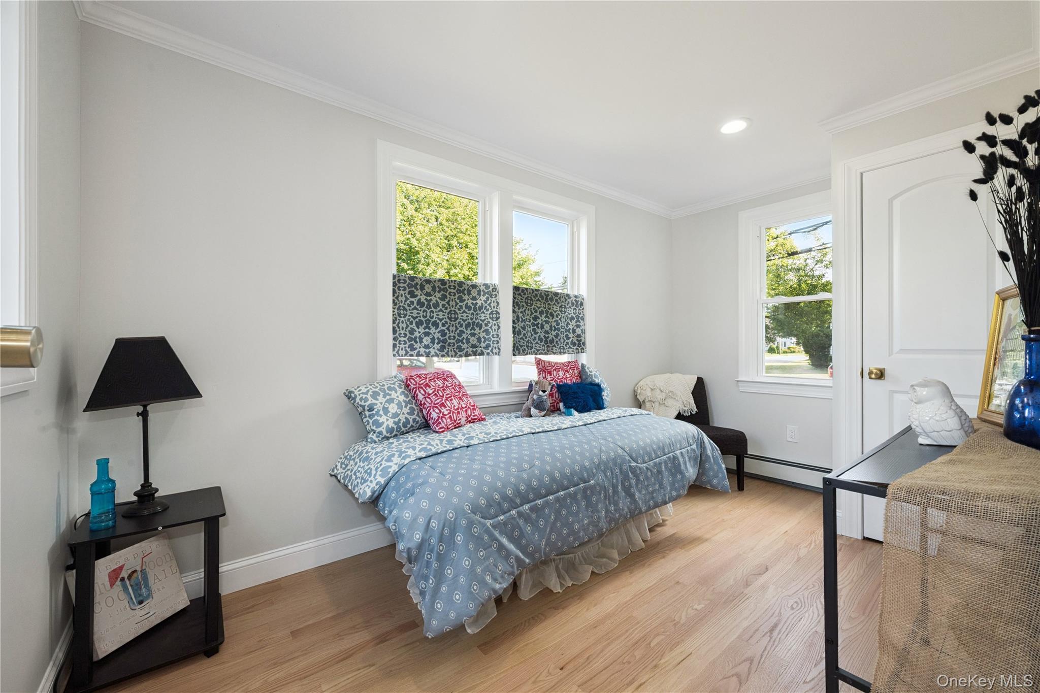 24 Charles Street, Hicksville, NY 11801