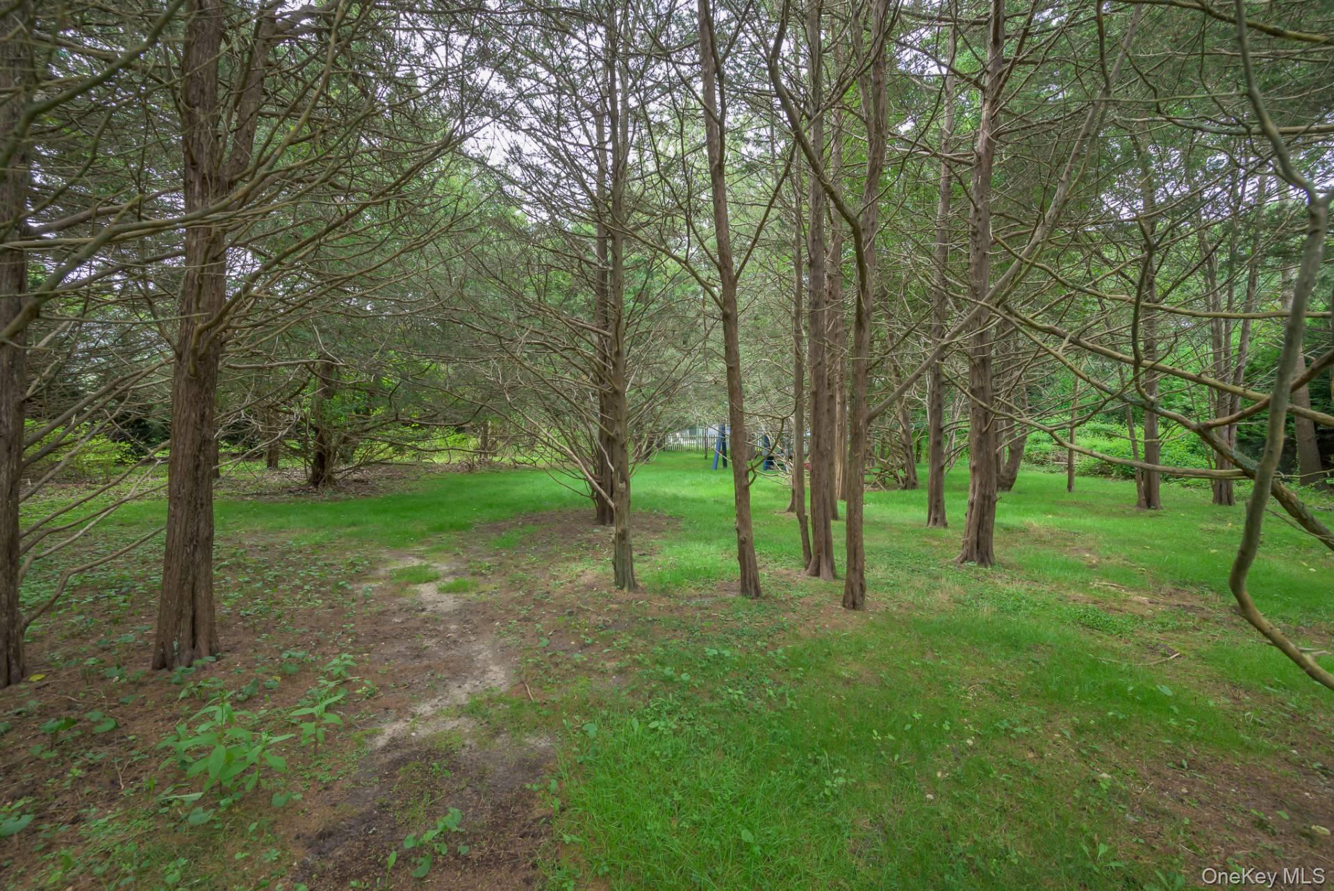 8 Seaweed Road, Southampton, NY 11968