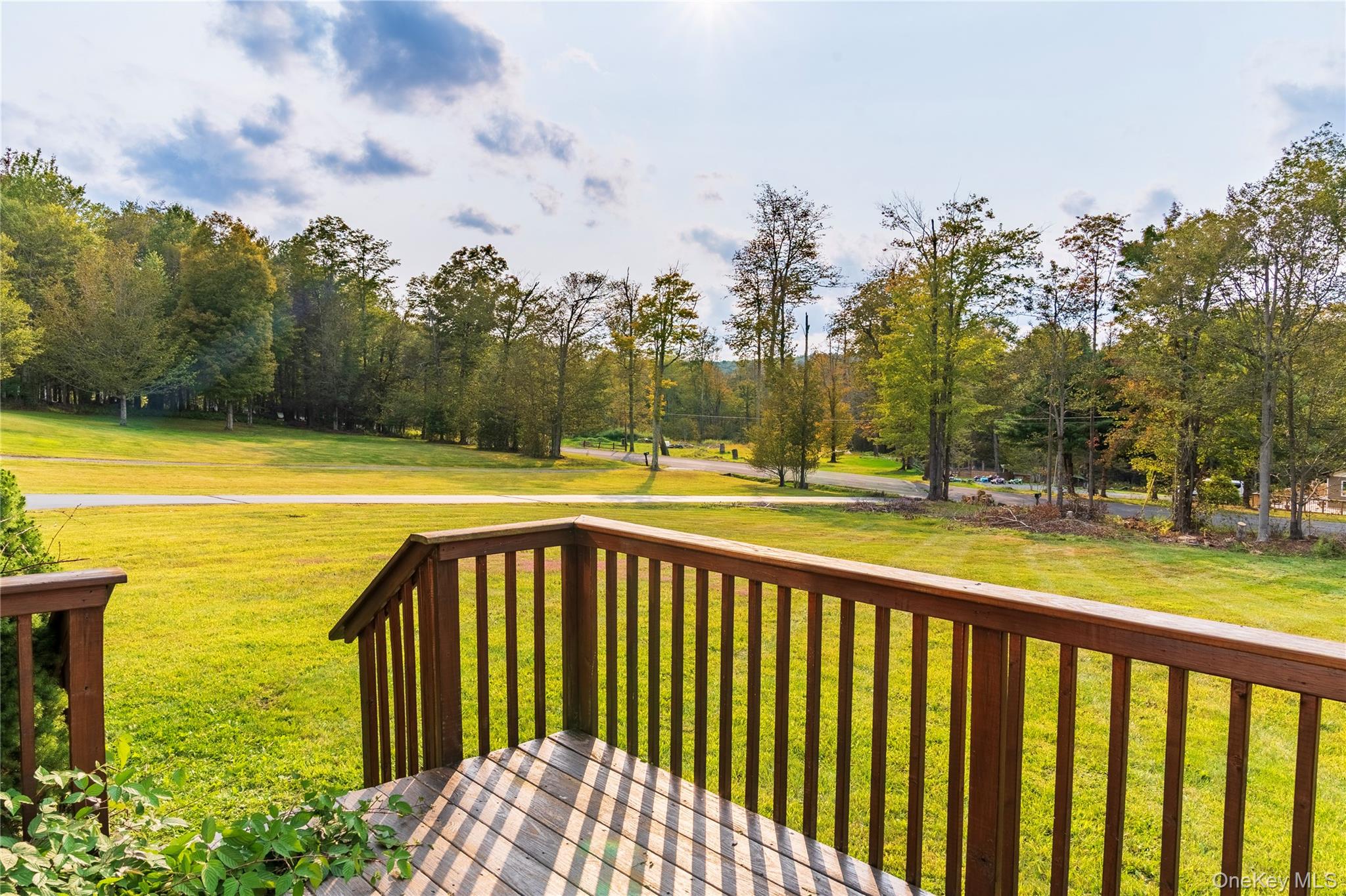 376 Wade Road, Liberty, NY 12754