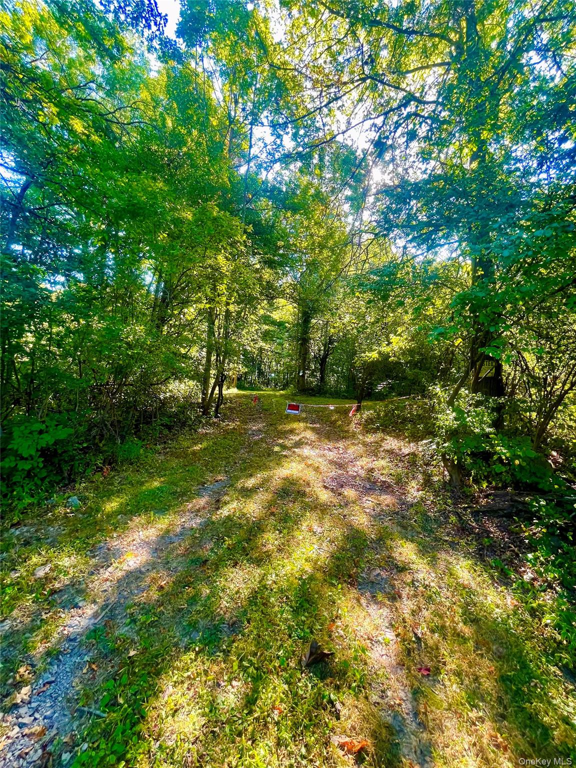 TBD Bull Road, Washingtonville, NY 10992