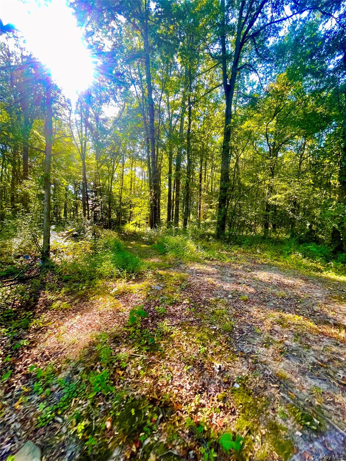 TBD Bull Road, Washingtonville, NY 10992