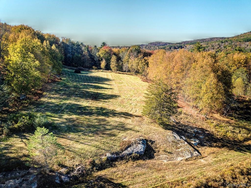 TBD State Route 55 and Smith Lane, Neversink, NY 12765