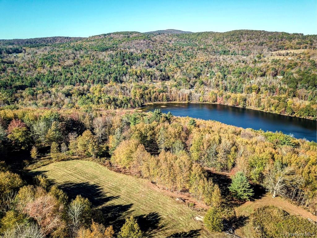 TBD State Route 55 and Smith Lane, Neversink, NY 12765