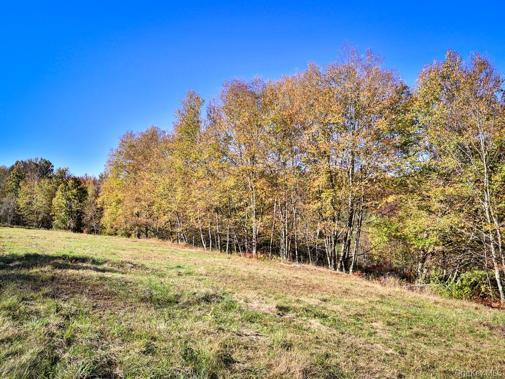 TBD State Route 55 and Smith Lane, Neversink, NY 12765