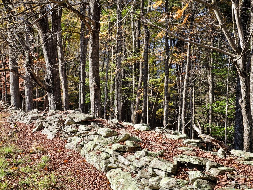 TBD State Route 55 and Smith Lane, Neversink, NY 12765