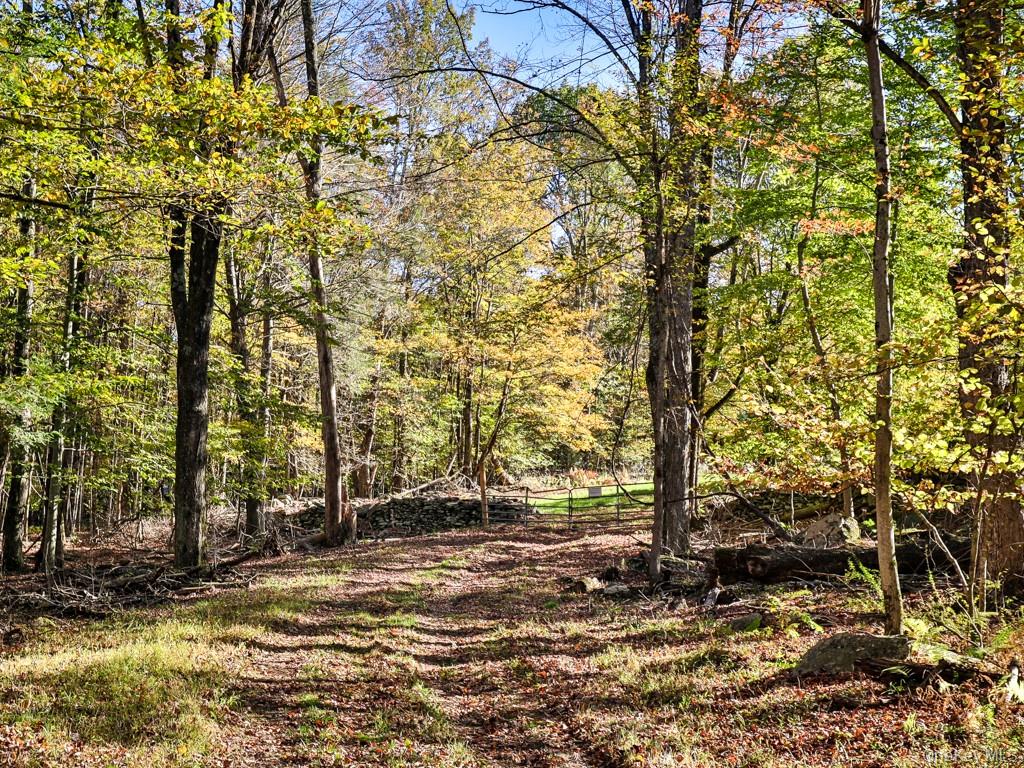 TBD State Route 55 and Smith Lane, Neversink, NY 12765
