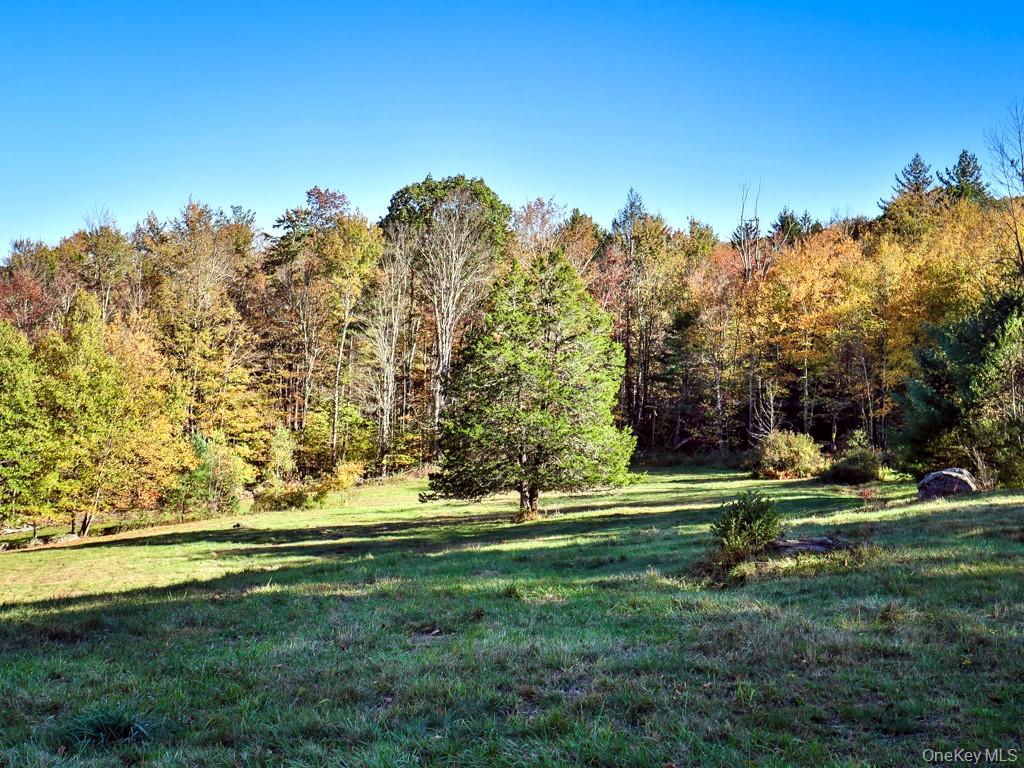 TBD State Route 55 and Smith Lane, Neversink, NY 12765