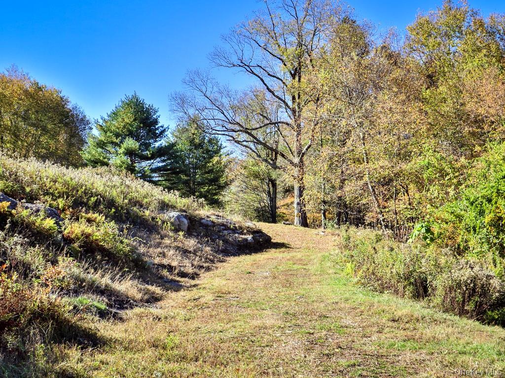 TBD State Route 55 and Smith Lane, Neversink, NY 12765