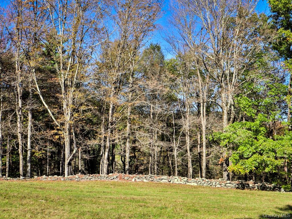 TBD State Route 55 and Smith Lane, Neversink, NY 12765