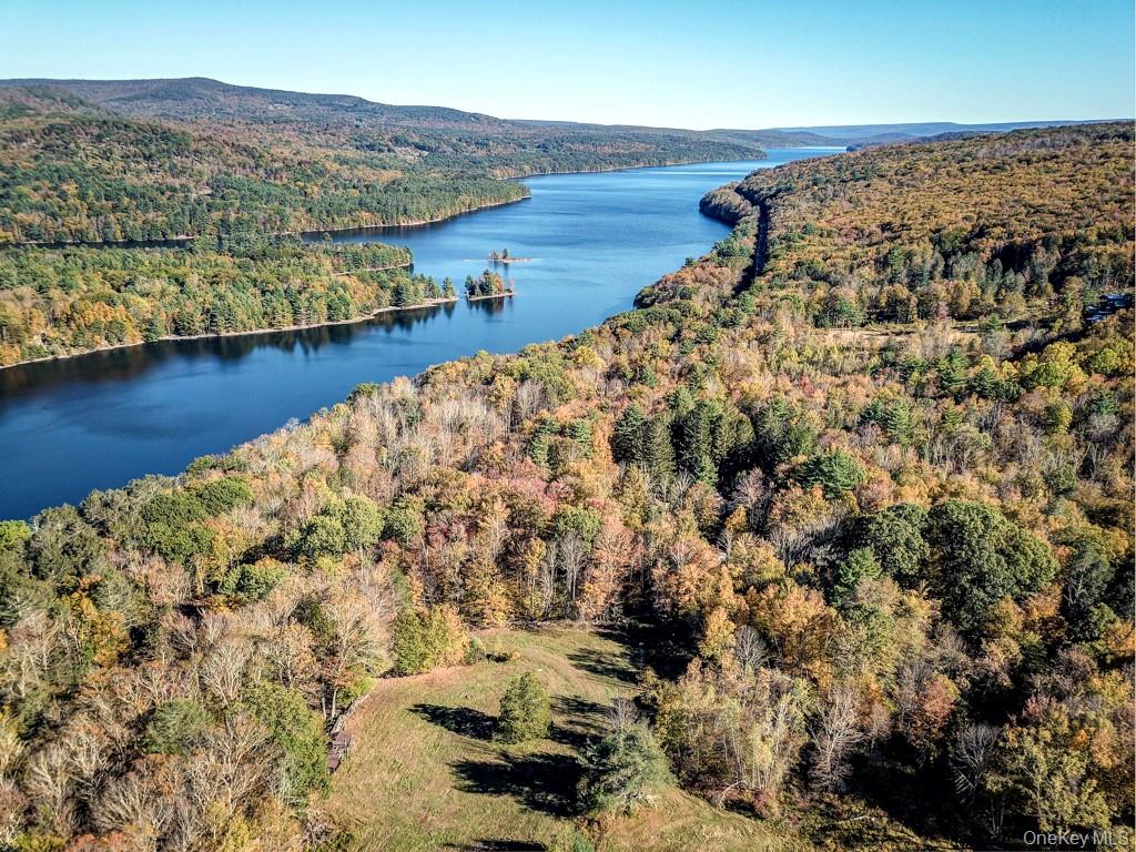 TBD State Route 55 and Smith Lane, Neversink, NY 12765