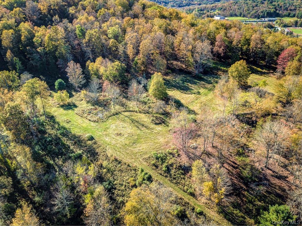 TBD State Route 55 and Smith Lane, Neversink, NY 12765