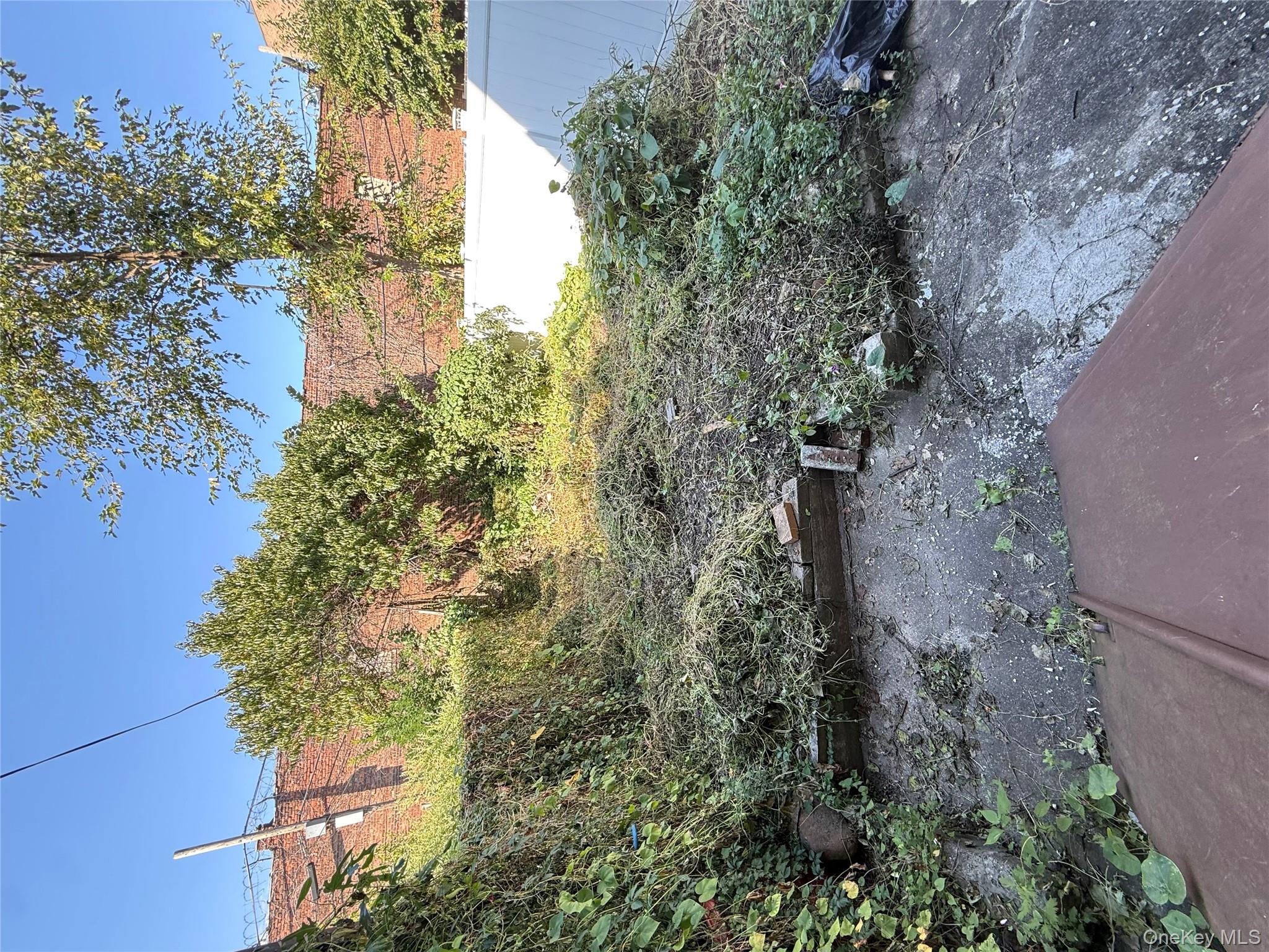 1655 Lincoln Place, Brooklyn, NY 11233