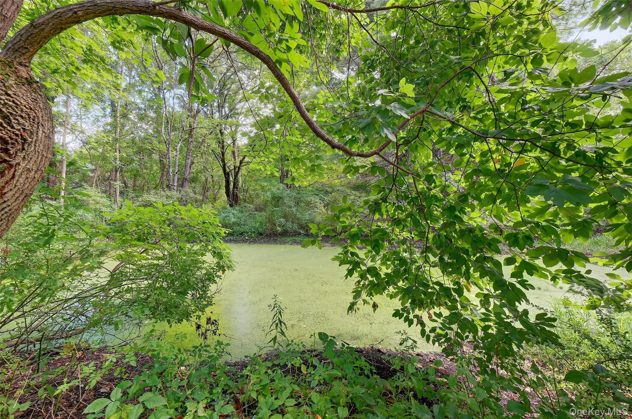 86 State Route 32 S, New Paltz, NY 12561