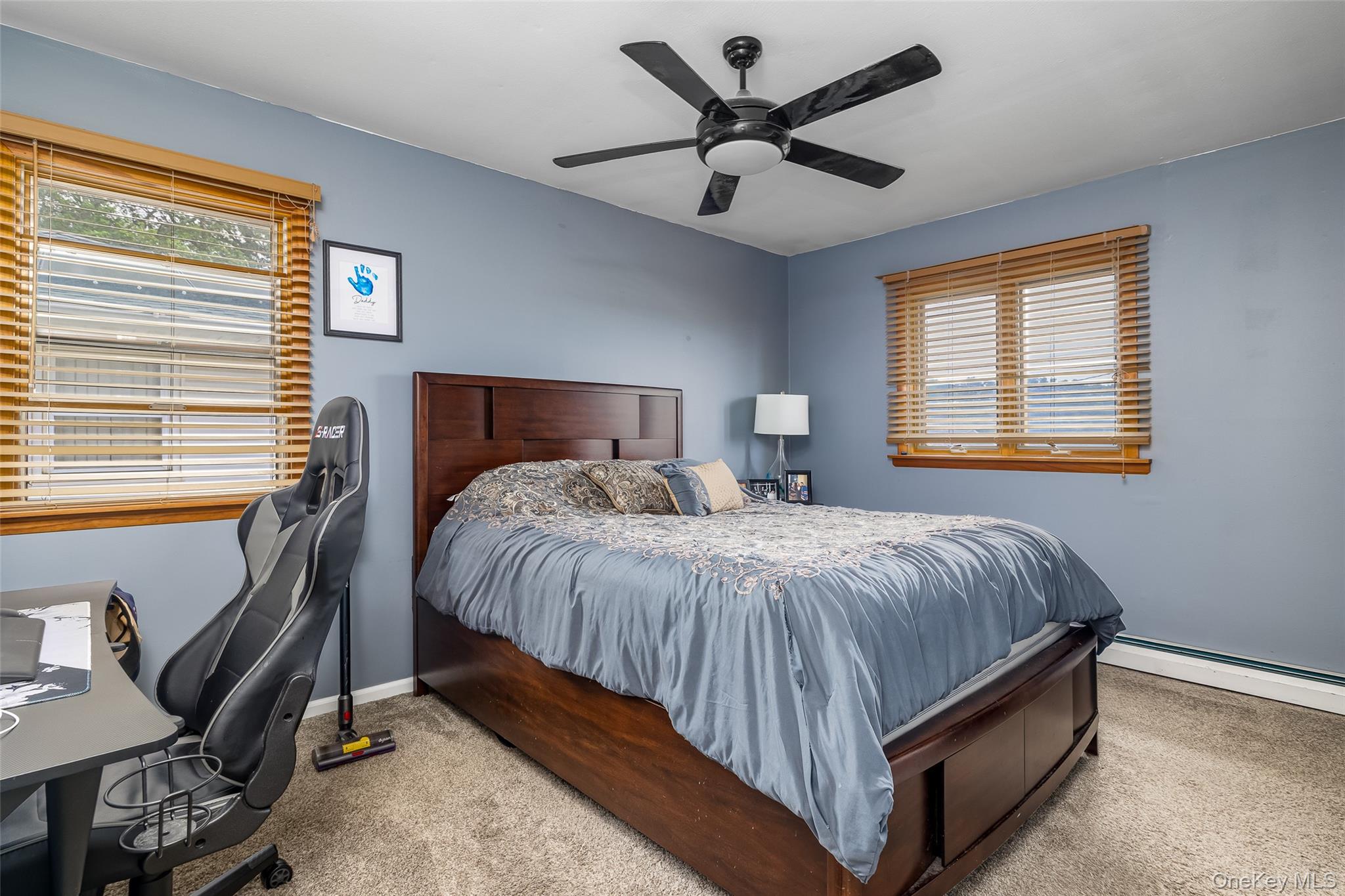 171 N Albany Avenue, Massapequa, NY 11758