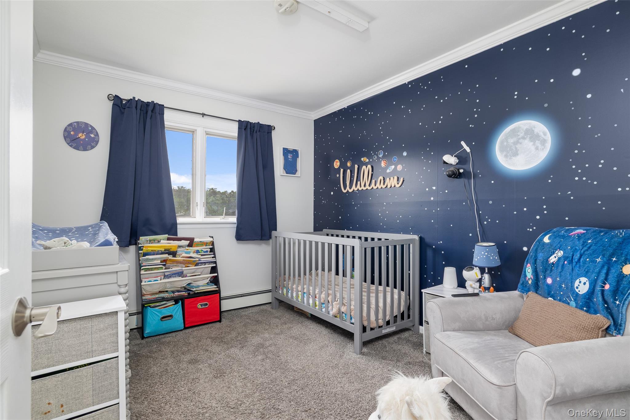 171 N Albany Avenue, Massapequa, NY 11758