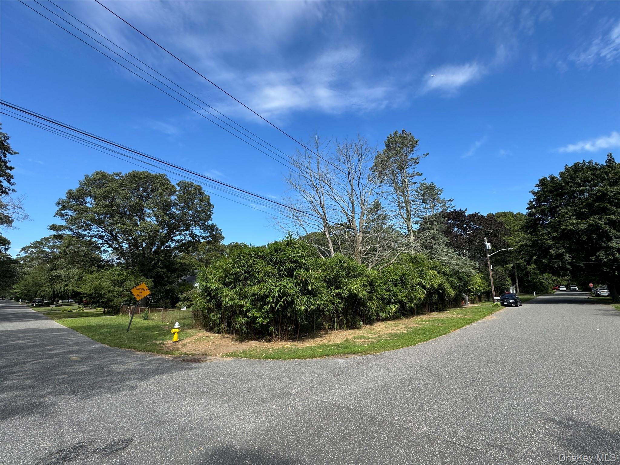 4 Olive Lane, Shirley, NY 11967